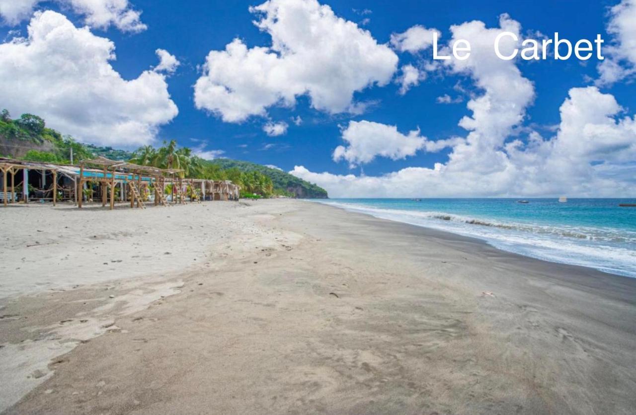 Lodge Pamplemousse Avec Piscine Privative , Dans Parc Calme A 500 M Plage Le Carbet Exterior foto